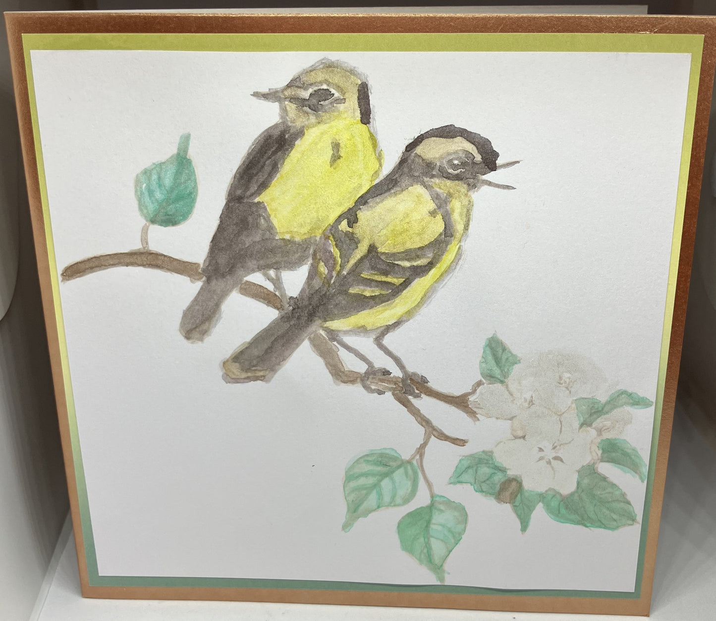 2 Birds